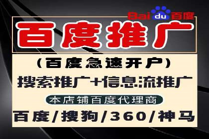 案例剖析：SEM网络推广助力品牌快速崛起